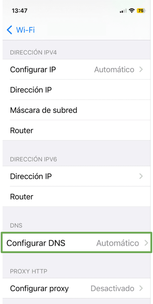 The Network Information Page Of An Ios Device Showing The Configure Dns Menu Option Es