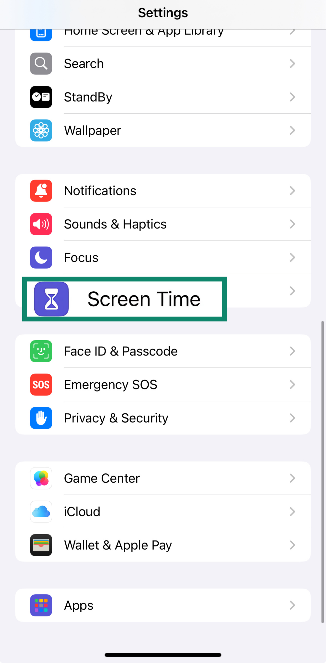 The Screen Time option of the iOS Settings page.