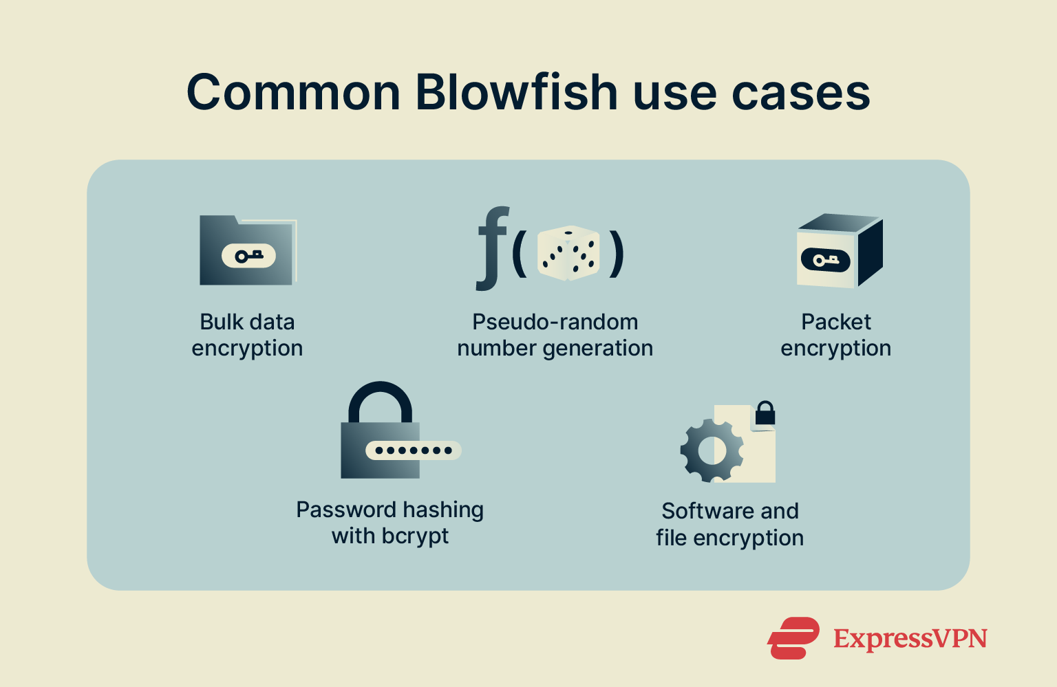 Blowfish Encryption Common Blowfish Use Cases