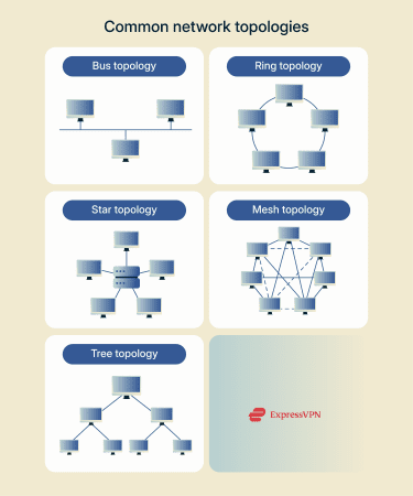The four main network topologies.