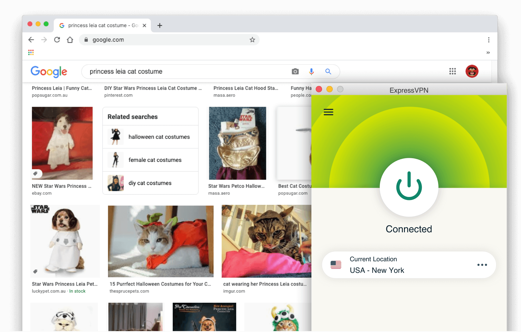 Google arama sonuçları: ExpressVPN ile Prenses Leia kedi kostümü açık.