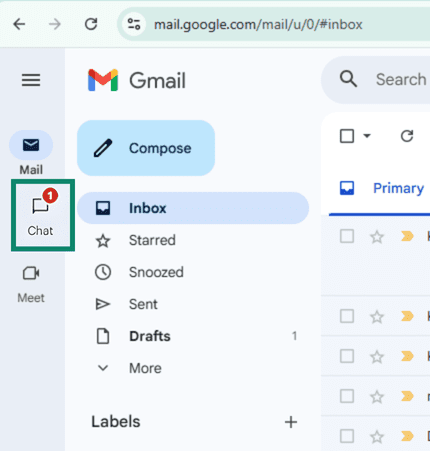Web-based Gmail is open and the Chat icon on the sidebar is highlighted.