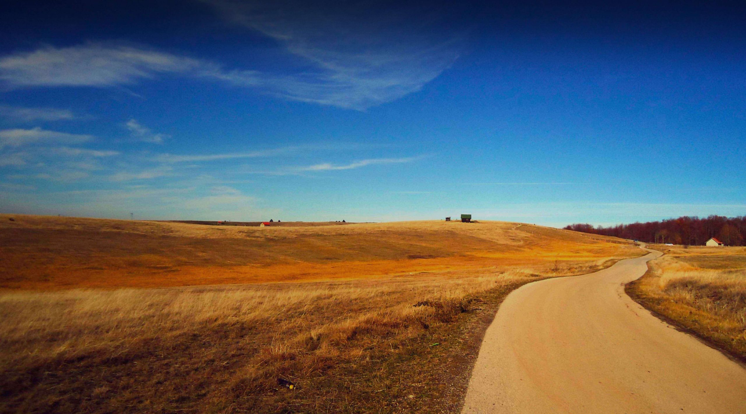 2025年セルビア対応おすすめVPNをダウンロード