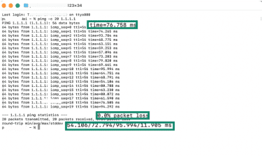 Ping, packet loss, and latency output values in Terminal on macOS